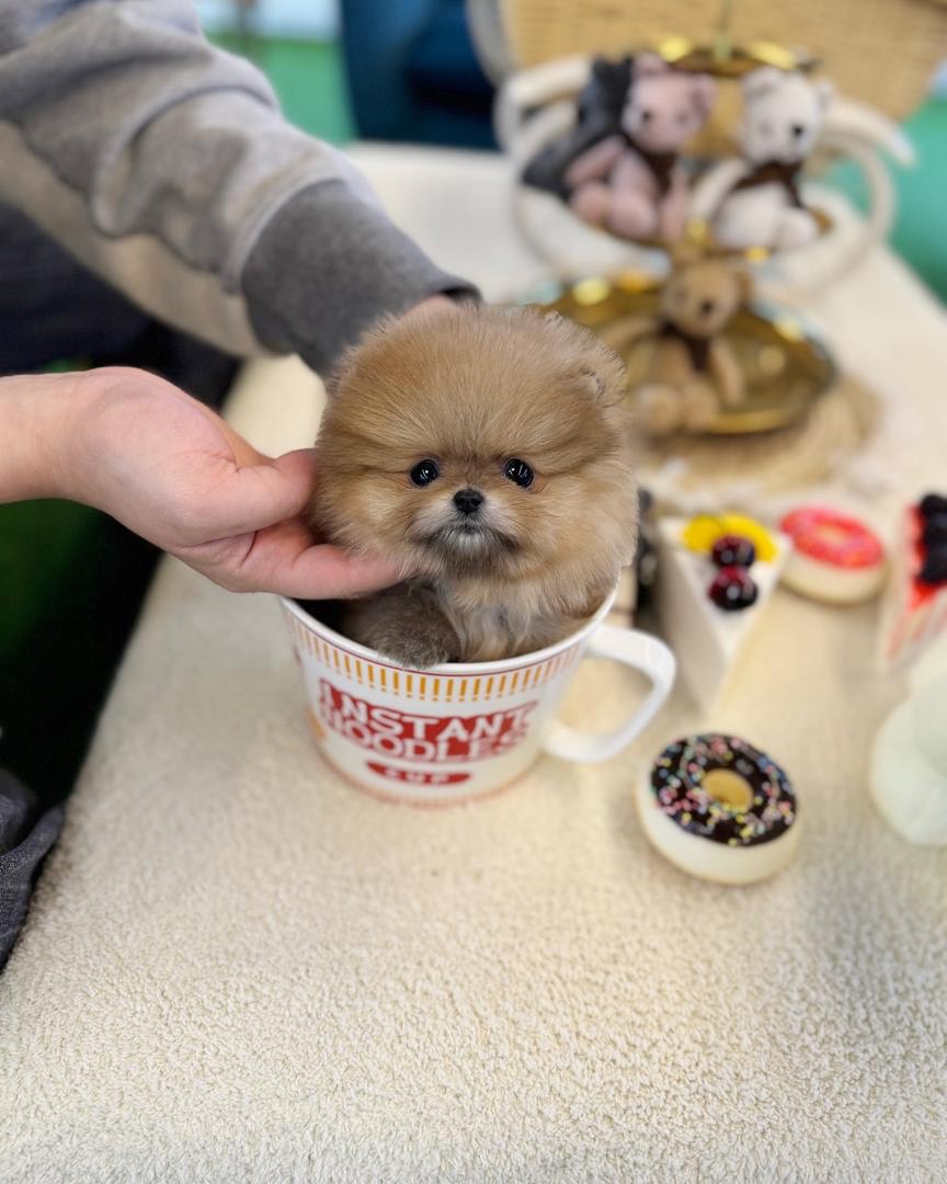 import placeholder for 335 import placeholder for 335