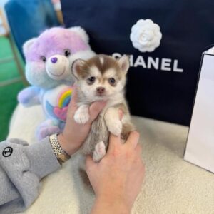 import placeholder for 58