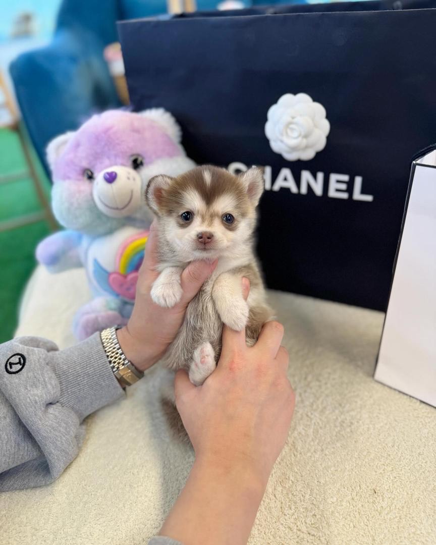 import placeholder for 58 import placeholder for 58