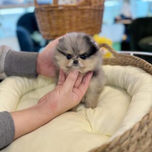 import placeholder for 296