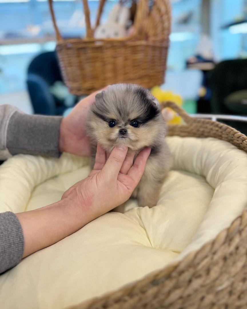 import placeholder for 296 import placeholder for 296