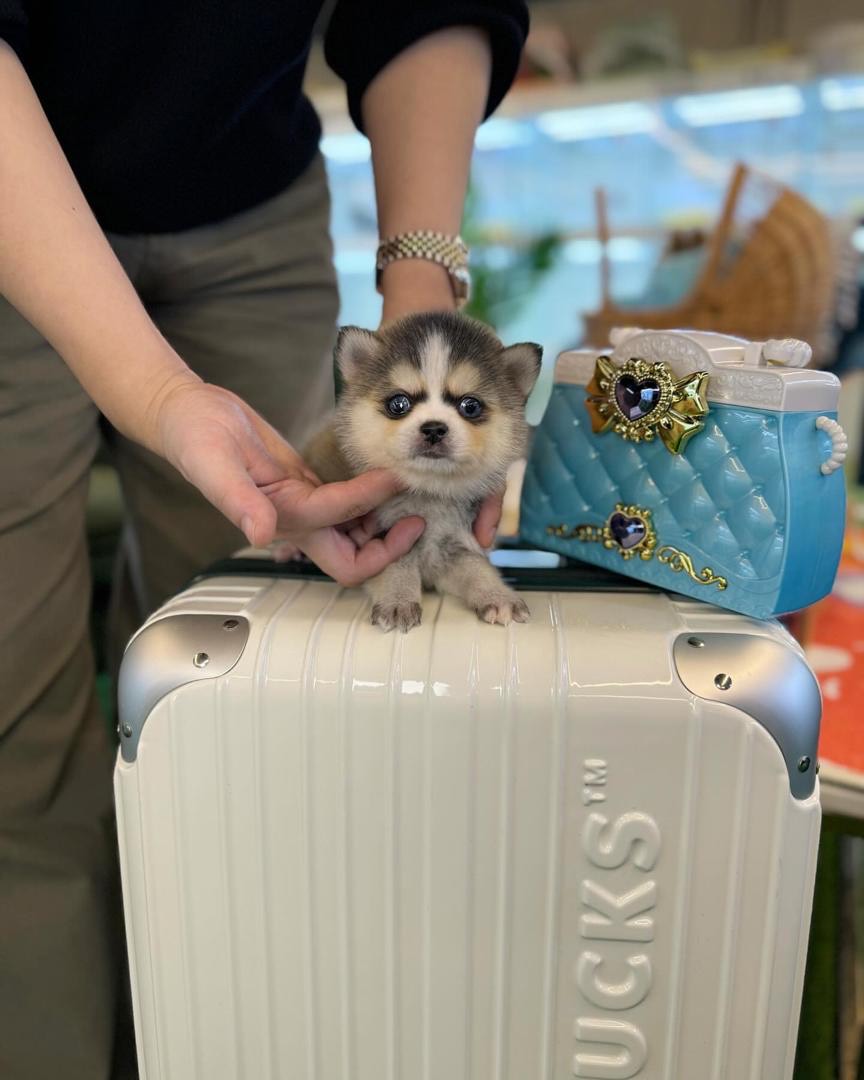 import placeholder for 52 import placeholder for 52