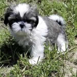 import placeholder for 48