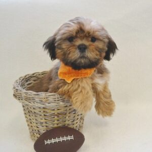 import placeholder for 360