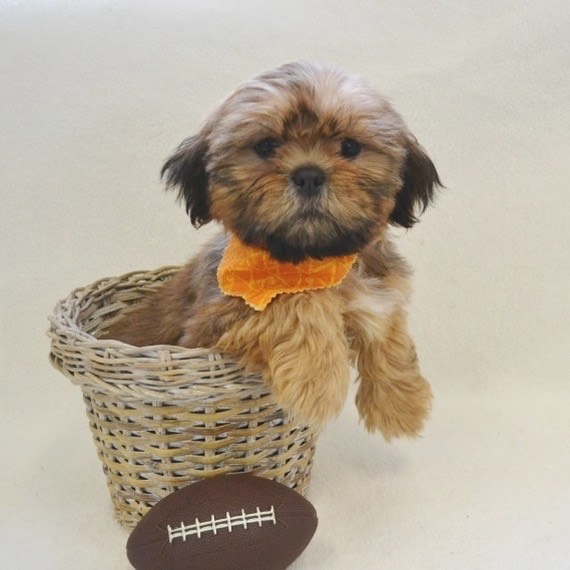 import placeholder for 360 import placeholder for 360