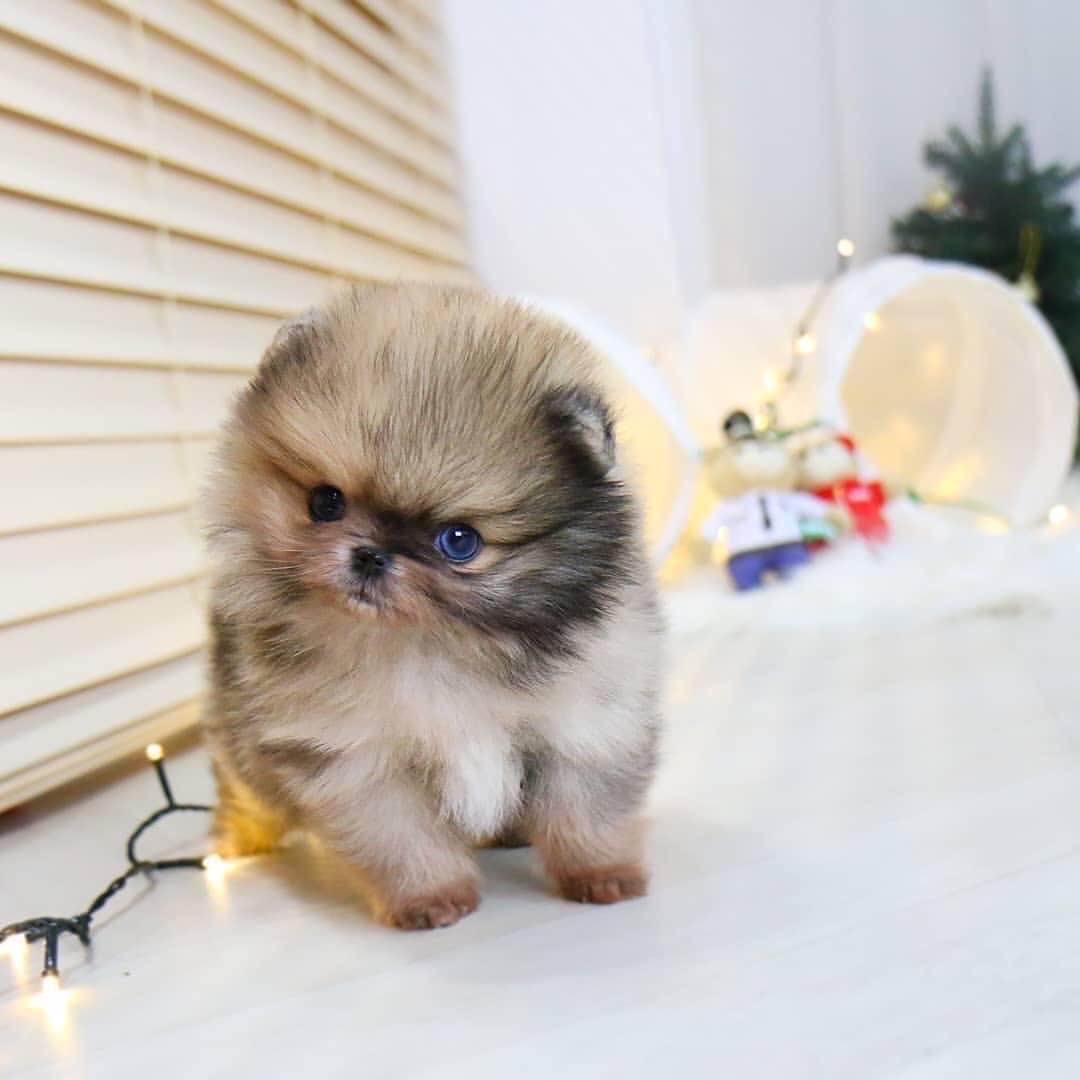 import placeholder for 293 import placeholder for 293