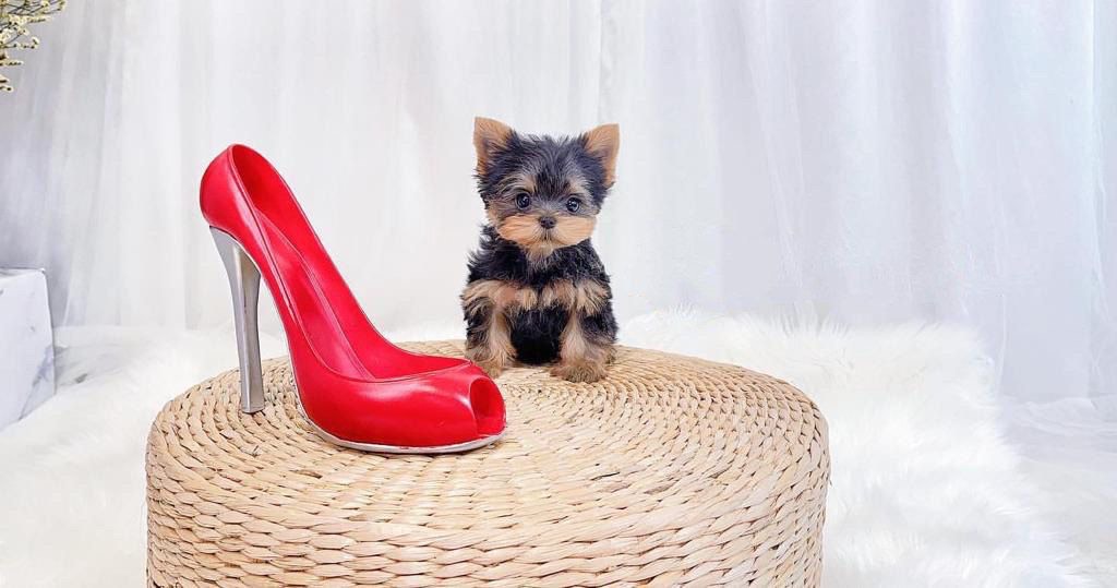 import placeholder for 35 import placeholder for 35