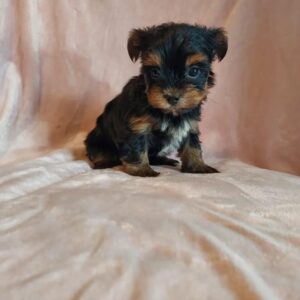 import placeholder for 30