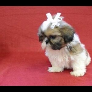 import placeholder for 45