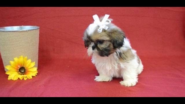 import placeholder for 45 import placeholder for 45