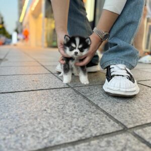 import placeholder for 54