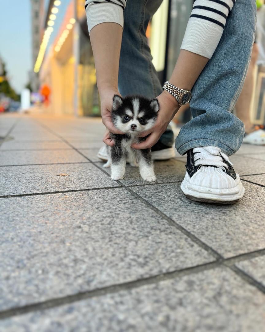 import placeholder for 54 import placeholder for 54