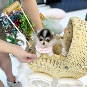 import placeholder for 60