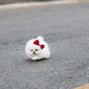 import placeholder for 349