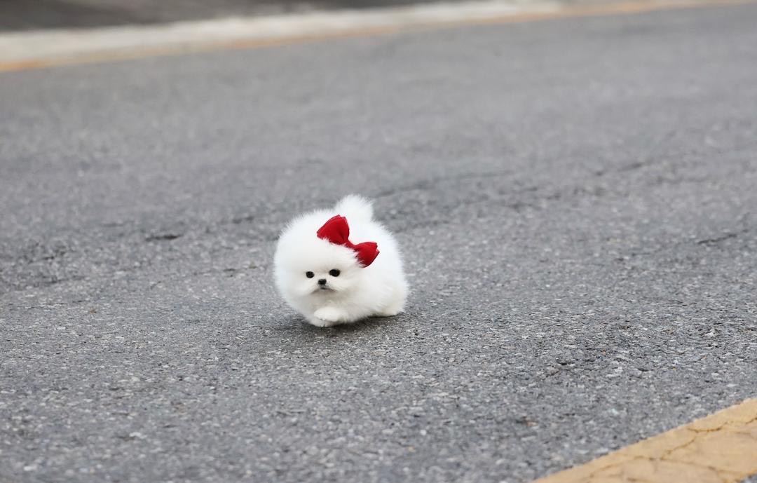 import placeholder for 349 import placeholder for 349